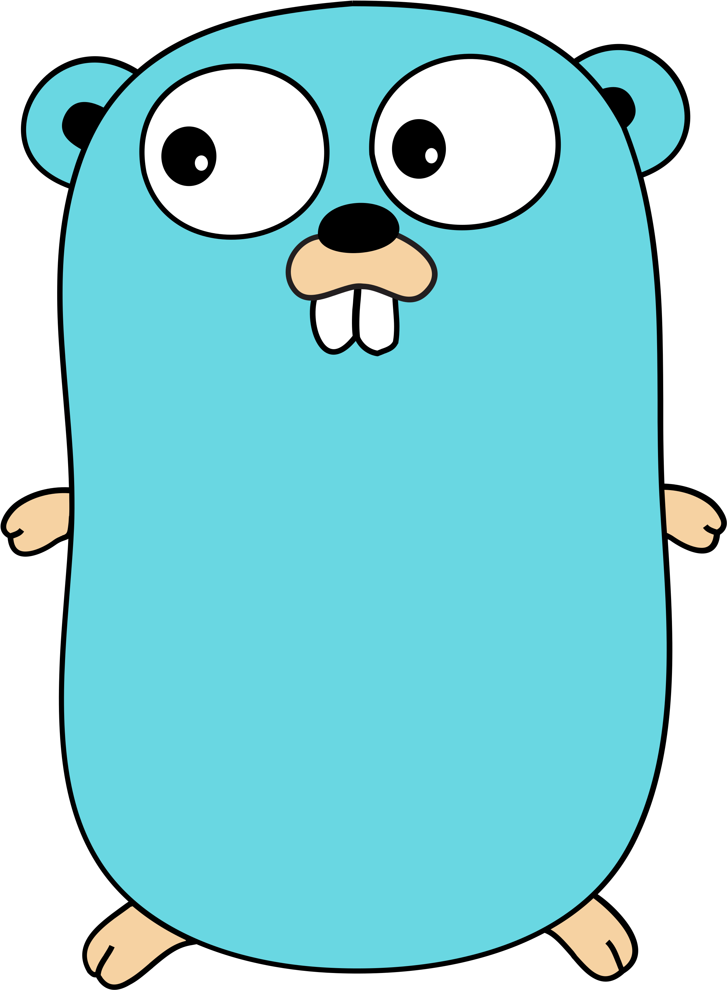 GoLang Mascot (5 Easy Programing Languages To Learn)